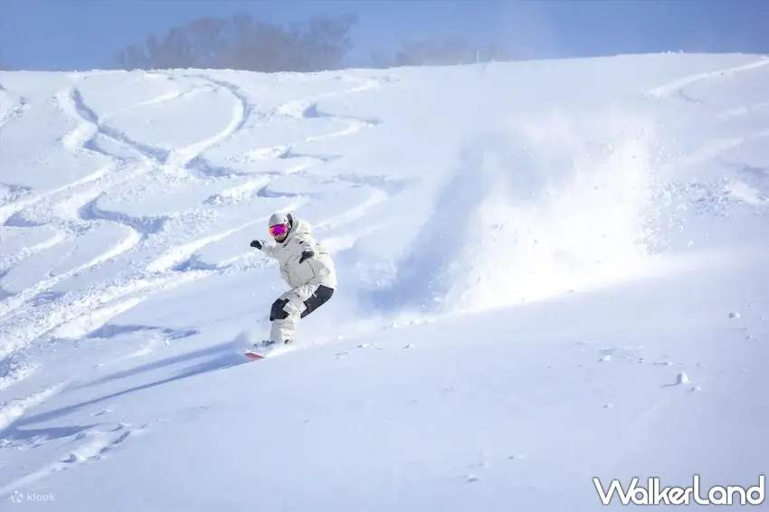 ▲日本滑雪場一日遊是近期最受歡迎的新春行程之一，可搭配天天折1000元優惠預訂。 圖／Klook提供；窩客島整理