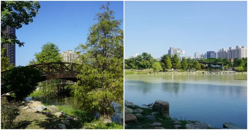 ▲凹子底森林公園的生態湖泊倒映著藍天與城市高樓,鬧中取靜的氛圍,是高雄市區最奢侈的愜意角落。