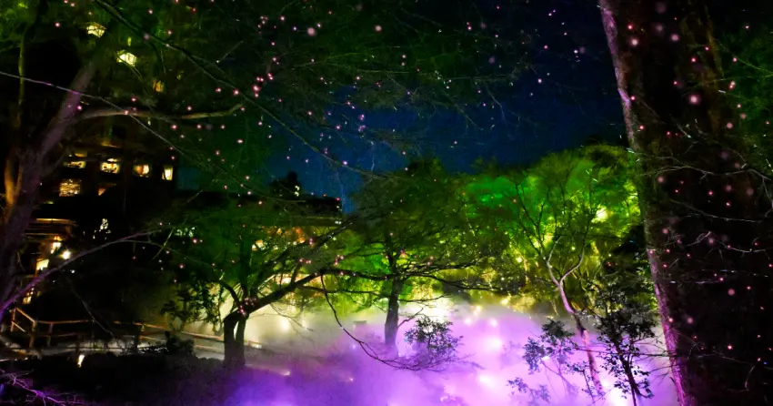 櫻花Ｘ雲海的夢幻共演！東京椿山莊飯店夜櫻雲海2月6日開幕，20種櫻花和粉紅霧氣打造仙境。