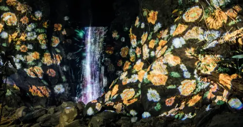 屏東最美森林夜遊點燈！奇幻大津瀑布10大互動燈區，再送獨角獸發光頭飾。