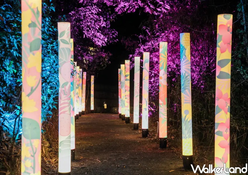 ▲屏東奇幻大津瀑布，每天17時準時點燈，變成充滿藝術能量的夜光森林。