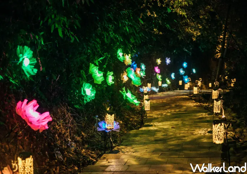 ▲「夜綻之花」讓民眾可以輕觸花蕊，親手改變峭壁花朵的色彩。