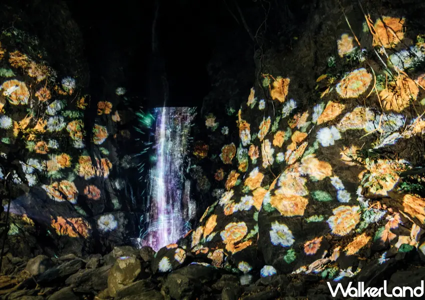 ▲最大亮點就是奇幻大津瀑布光雕投影秀，看著萬物共生的影像在水幕上流動超震撼。