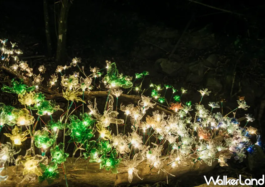 ▲屏東奇幻大津共規劃10個燈區，邀請大家夜遊屏東森林。