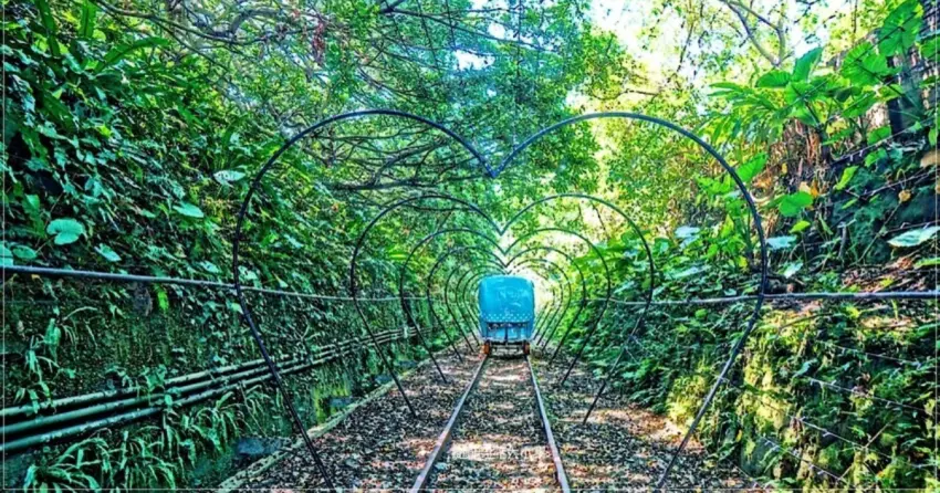 ▲全電動的深澳鐵道自行車,不用費力踩就能輕鬆溜小孩!搭上超萌「河豚車」穿梭在綠色隧道,絕對是北海岸最愜意的親子兜風路線。