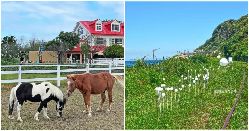 ▲若覺得室內太悶,不妨把場景換到北海岸!到牛仔莊園跟可愛小馬互動、騎著鐵道自行車吹吹海風,都能享受截然不同的親子時光。