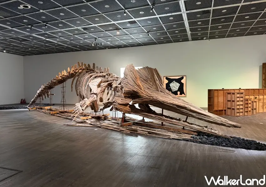 ▲中山站展覽推薦必逛！台北當代藝術館2026年首檔大展，漂流木抹香鯨、巨人骨骼超吸睛。(攝影：鄭亦庭)