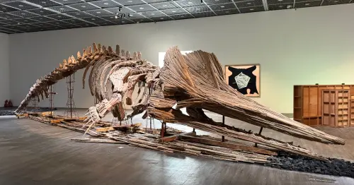 中山站展覽連2層樓！台北當代藝術館2026首檔大展，等比漂流木抹香鯨、5尺巨人骨骼。