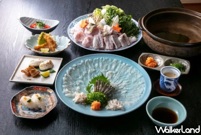 ▲冬季當令美味的河豚套餐是在台灣難得一見的珍饈。 圖／料理旅館玉乃家提供；窩客島整理