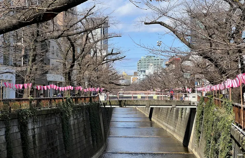 ▲目黑區都流露一種東京其他區域難以複製的靜奢感，不像銀座的華美氛圍、代官山的潮感或表參道的設計密度，而是帶點距離感的靜奢文化。