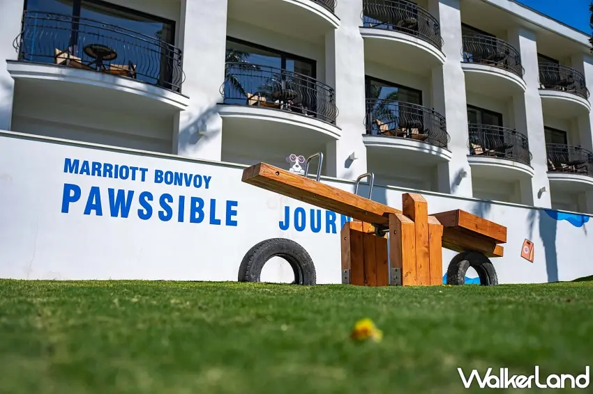 ▲樂園內設置專屬蹺蹺板與多項訓練設施，提升毛孩在度假期間的活動多樣性。 圖／大溪笠復威斯汀提供；窩客島整理