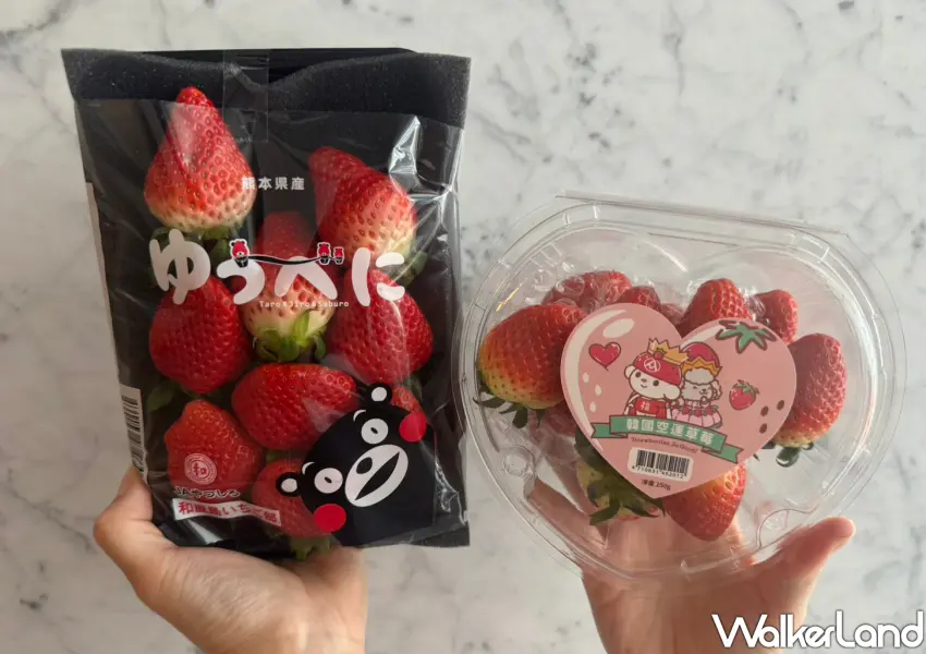 ▲全聯引進日本、韓國人氣草莓。
