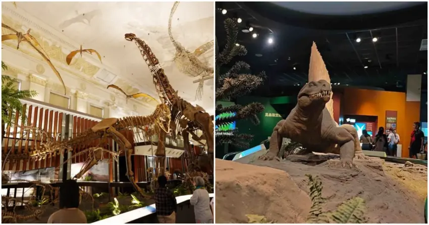 ▲走進臺灣博物館古生物館，完整化石重現史前世界；來到自然科博館，超擬真模型直接霸氣登場，親子出遊、雨天備案都超適合。