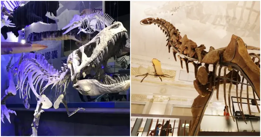 ▲想看恐龍不用出國！精選7大恐龍景點，從震撼模型到擬真巨獸，走入震撼的史前世界。