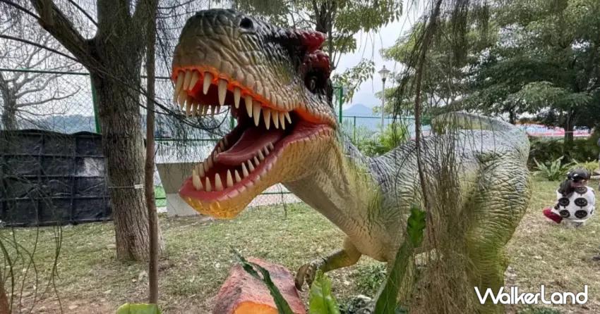 ▲2026新開幕的「關渡探險樂園」，宛如台版侏羅紀！1500坪園區讓恐龍迷盡情玩耍。