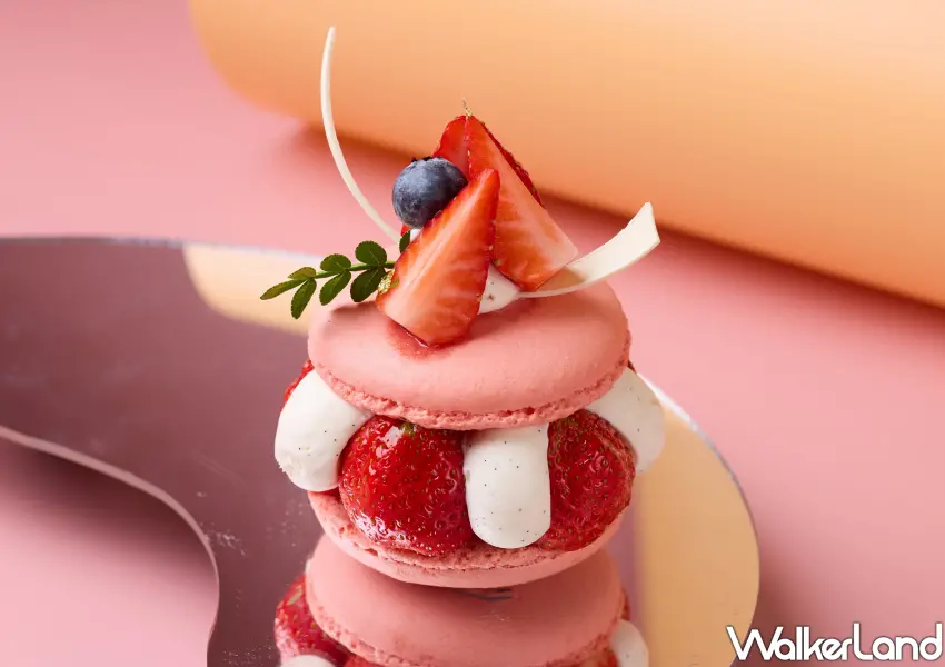 ▲佛手柑奶油襯托草莓，糕餅小舖法式馬卡龍清新迷人。