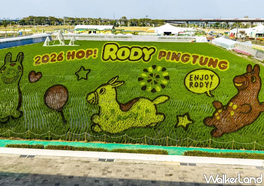 ▲由不同色彩稻苗編織而成的RODY彩繪稻田，完美展現屏東農業與創意的結合。 圖／屏東縣政府提供；窩客島整理