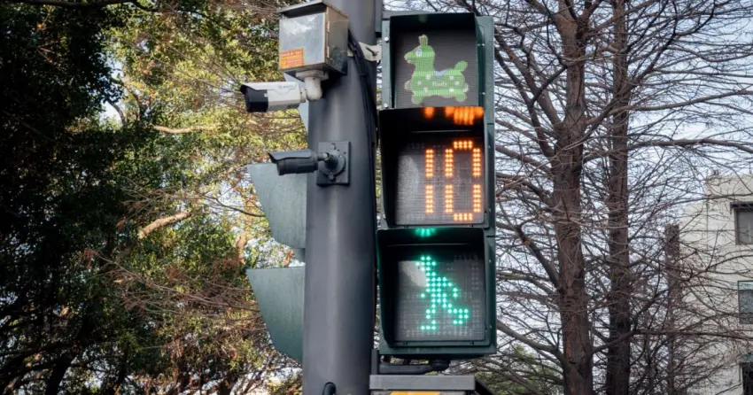 等紅燈被萌翻！2026新竹過好年Rody跳跳馬現身小綠燈，高虹安打造最美行人號誌。