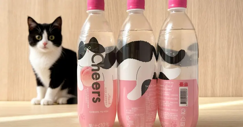 全台限量！Cheers氣泡水推「貓之日」限定包裝，拼出超療癒貓咪姿態，再抽太空艙跳台。