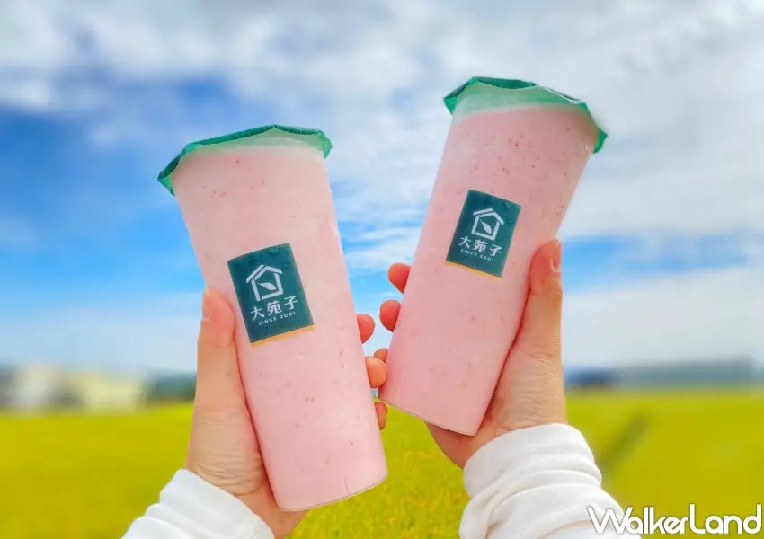 ▲大苑子春節期間推出APP多波活動，包含8折商品券、掃描發票抽獎與環保瓶集點，粉絲可同時參與多項優惠。