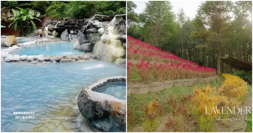 ▲擁有夢幻藍色泉水的「鳩之澤溫泉」，以及色彩繽紛的「薰衣草森林」，皆是情人節走入山林、療癒身心的絕佳約會提案。