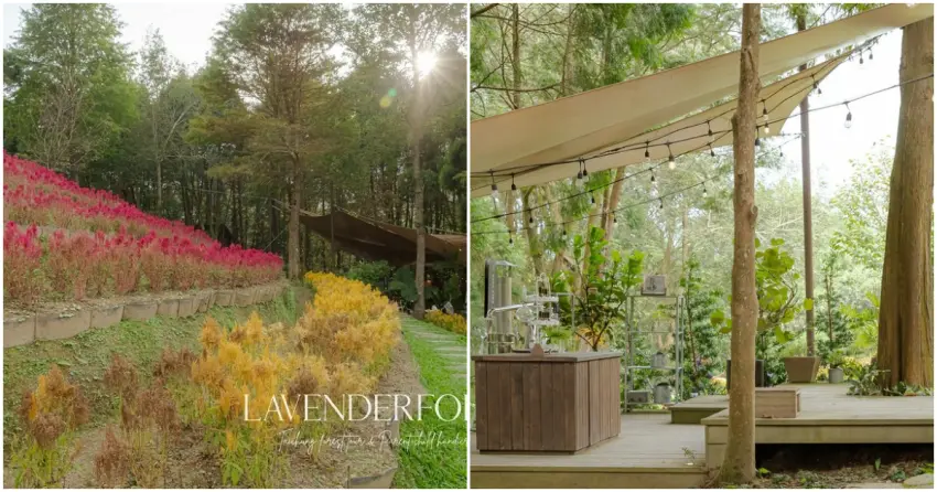 ▲情人節還沒安排，現在出發絕對來得及！精選全台7大約會聖地，來場說走就走的浪漫冒險。