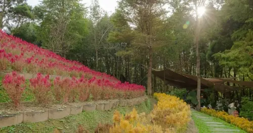 全台7大浪漫景點！ 療癒山林、夕陽海景、城市夜色全滿足，情人節約會必看。