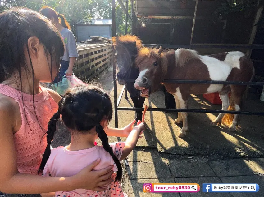▲新北親子餐廳推薦：小馬貝菈-Ezi森活，圖片來源：Ruby說美食享受旅行