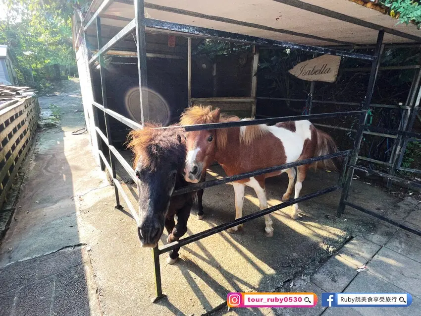 ▲新北親子餐廳推薦：小馬貝菈-Ezi森活，圖片來源：Ruby說美食享受旅行