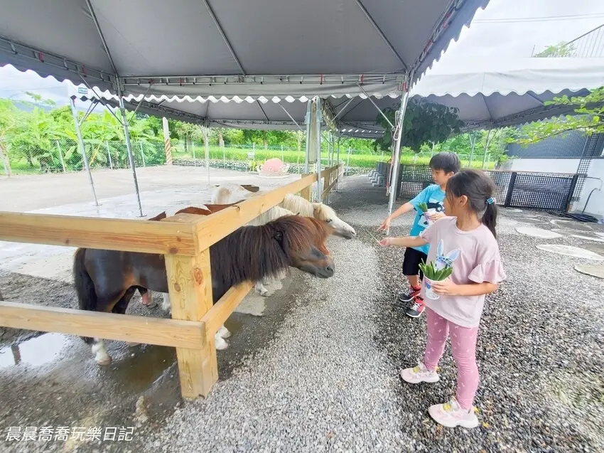 ▲宜蘭親子農場推薦：稻庄休閒農場，圖片來源：晨晨喬喬玩樂日記