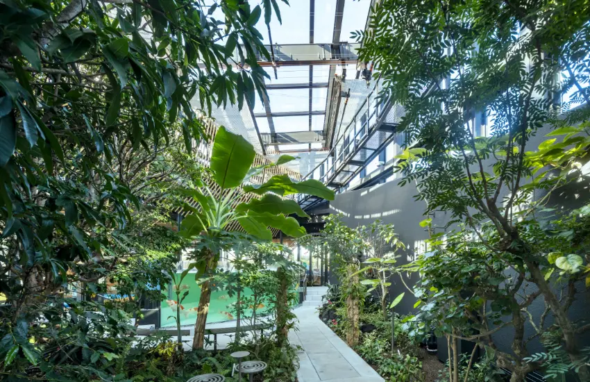 ▲種植約60種亞熱帶植物，生機盎然的綠色空間讓人瞬間忘記外面的世界。