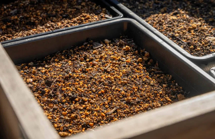 ▲整座設施使用的電力100%來自「地瓜發電」，這是霧島酒造獨創的技術，