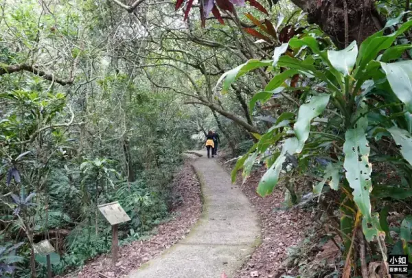 ▲基隆一日遊景點推薦！龍崗步道平緩好走，還能接連走到槓子寮砲台，俯瞰基隆海景。