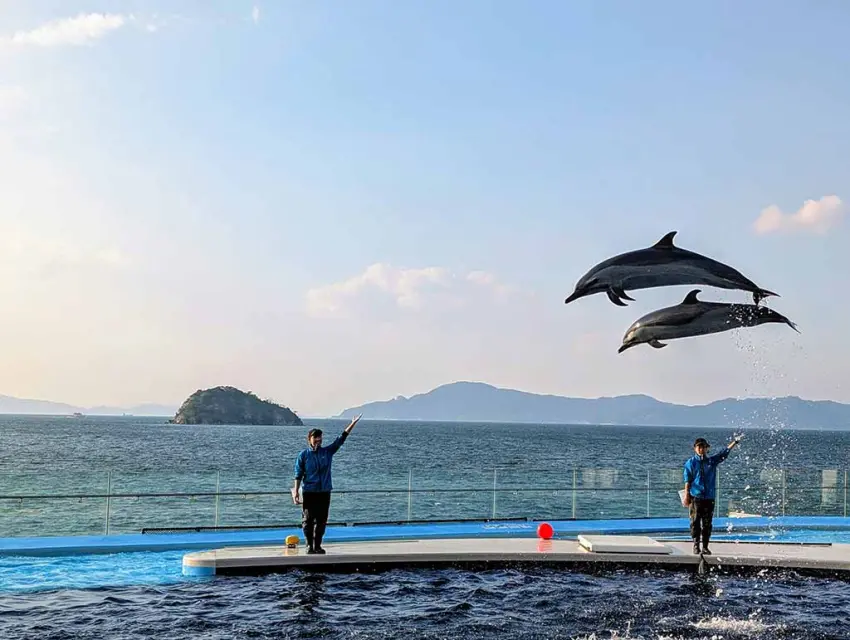▲四國水族館