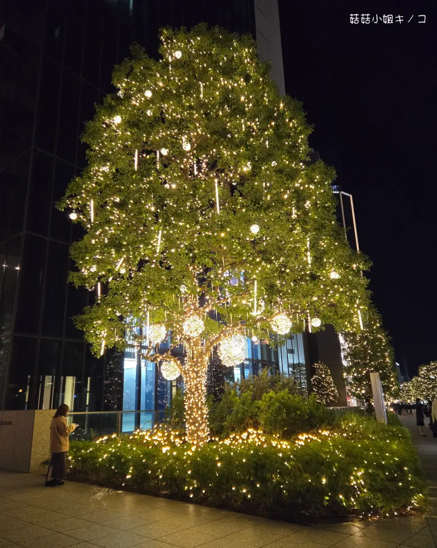 ▲ibis Styles HOTELS