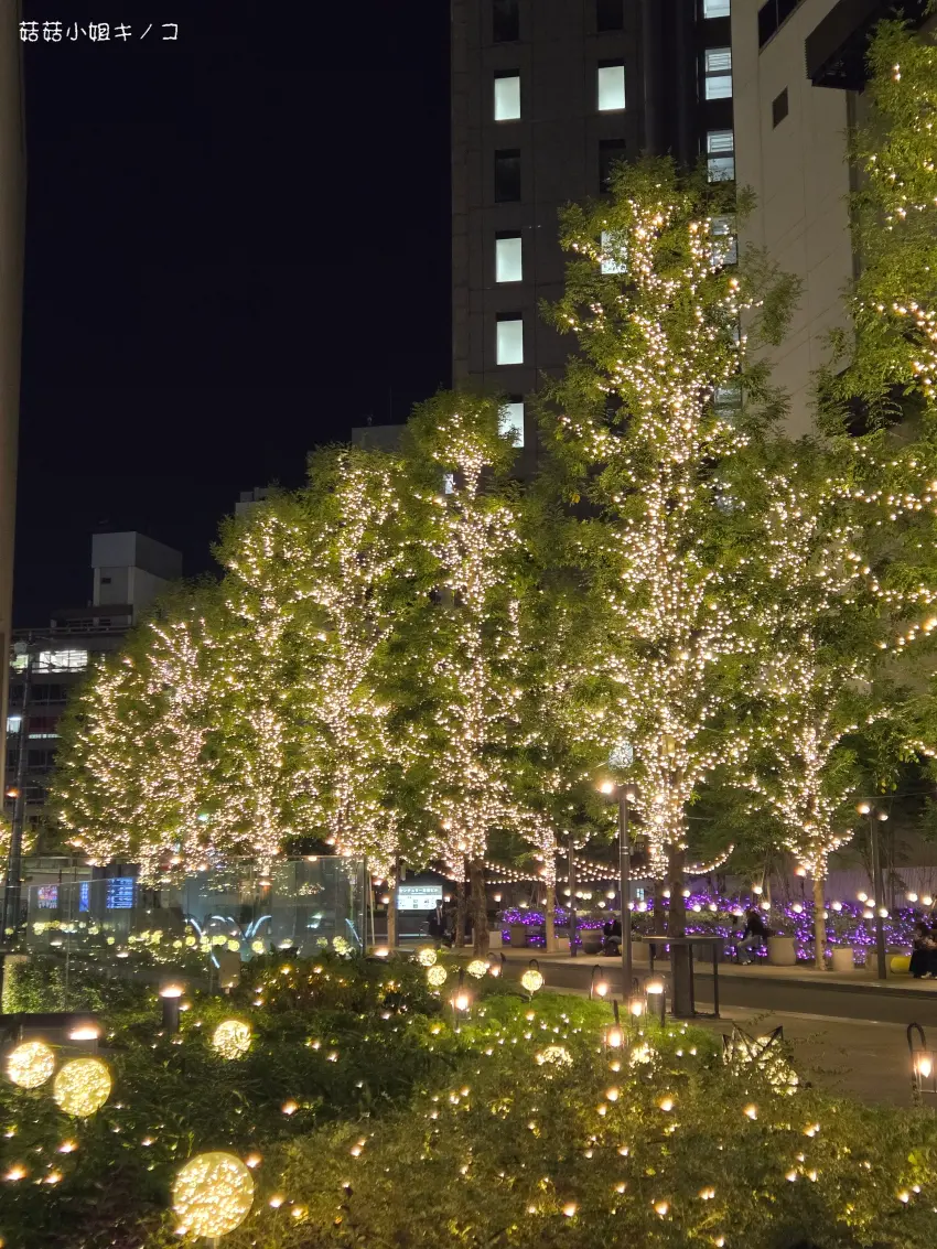 ▲ibis Styles HOTELS