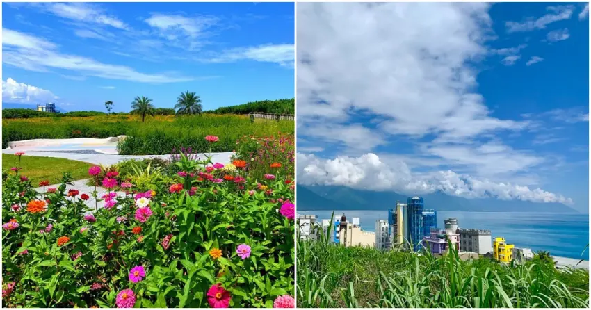 ▲曼波海洋生態休閒園區坐擁無敵海景視野，隨著季節變換的繽紛花海更是吸睛亮點，是欣賞浪漫花卉、蔚藍海色的人氣打卡聖地。