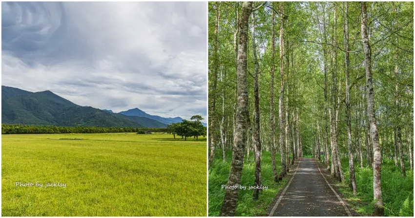 ▲花蓮最新人氣景點！無論是騎單車穿梭在無盡頭的「龍貓隧道」，還是在廣大草原遠眺山脈，都能感受遠離塵囂的治癒。