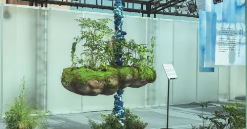 過年別只逛三峽老街！第三棲地10天快閃，逛森林系市集、拍藍染美照。