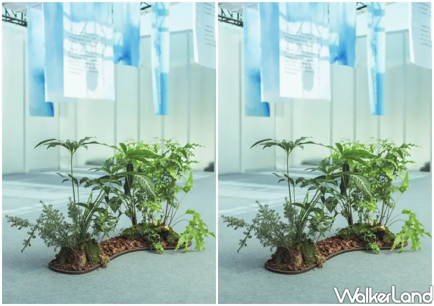 ▲場域內精緻的靜態植藝，將三峽山林資源轉化為微觀的像素藝術日常片段。