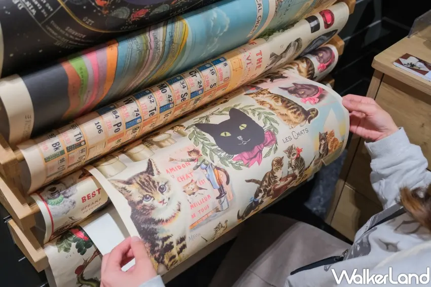 ▲博客來貓之日商品加碼推薦：美國 Cavallini & Co. wrap 包裝紙/海報 _貓咪大學。（攝影：張人尹）
