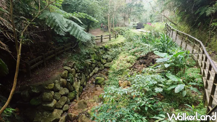 ▲信義區豹山溪步道親水好走,綠意盎然的溪谷與平緩木棧道,讓你在城市中一秒進入慢活時光。