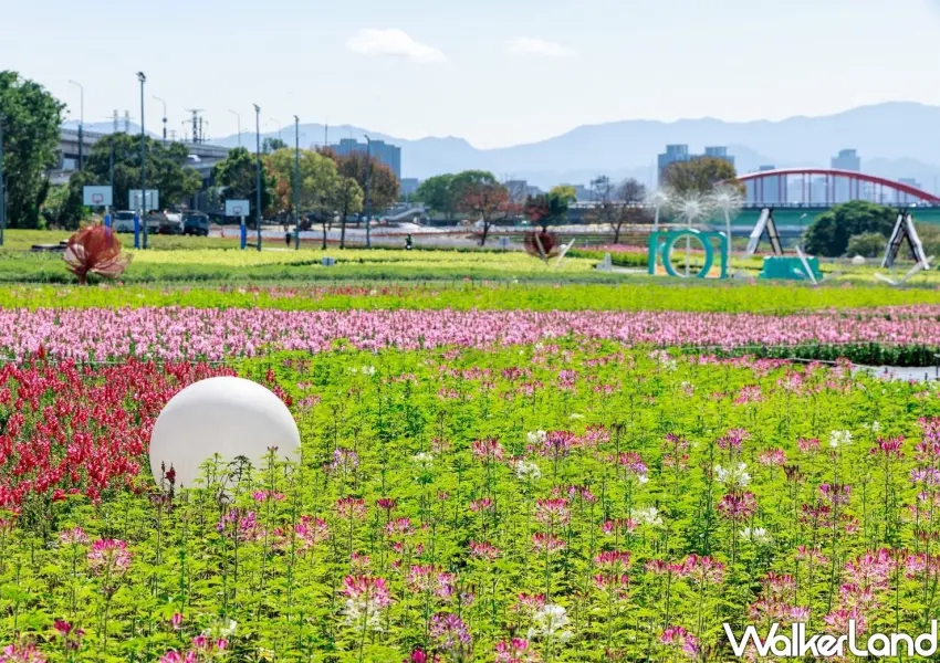 ▲搭捷運至公館步行就能到的古亭花海。