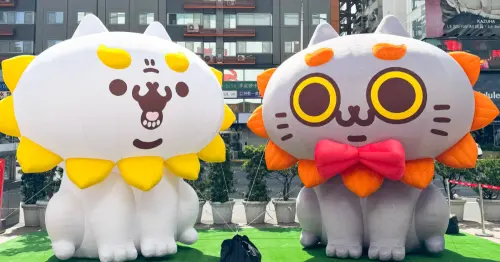 初一搶SOGO福袋！百萬機票、黃金帶回家，激萌「反應過激的貓」新春必拍。