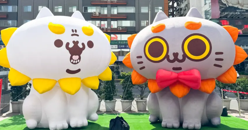 初一搶SOGO福袋！百萬機票、黃金帶回家，激萌「反應過激的貓」新春必拍。