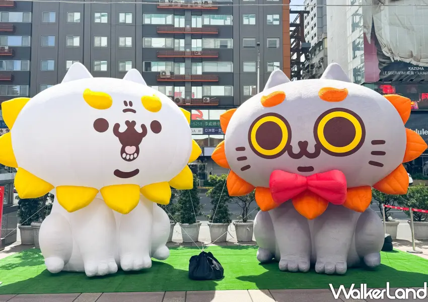 ▲百貨門口設置了巨大的「反應過激的貓」充氣裝置，呆萌可愛的外型吸引不少民眾駐足合照。