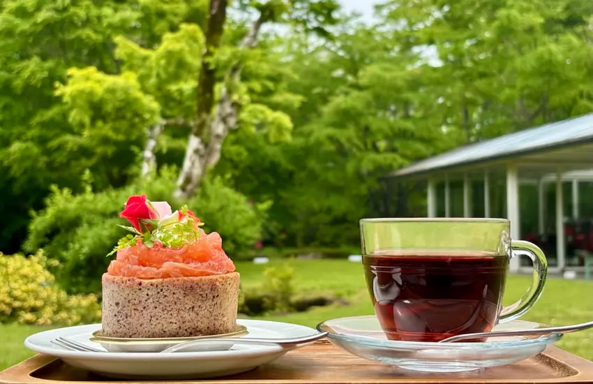 ▲美術館內「Emoa Terrace」餐廳的午餐券,可以選擇主菜搭配麵包、沙拉與湯品的完整套餐。