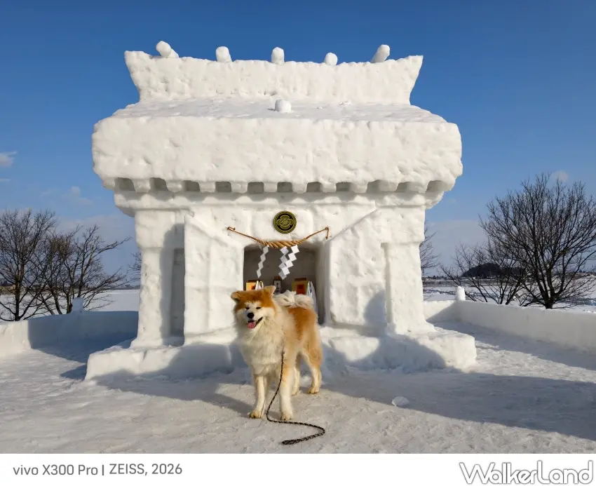 ▲以狗狗為主角的「犬子祭」，為秋田冬日代表性祭典之一。（攝影：楊婷雅）