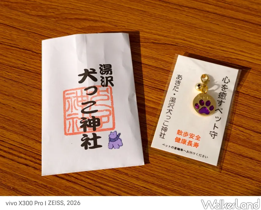 ▲專為狗狗設計的健康長壽御守。（攝影：楊婷雅）