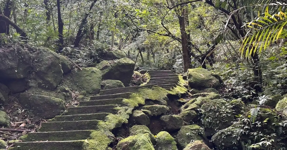 2026新北微笑山線報名開跑！朝聖「台版小黃山」與360度空中走廊，4條療癒系健行路線全攻略。